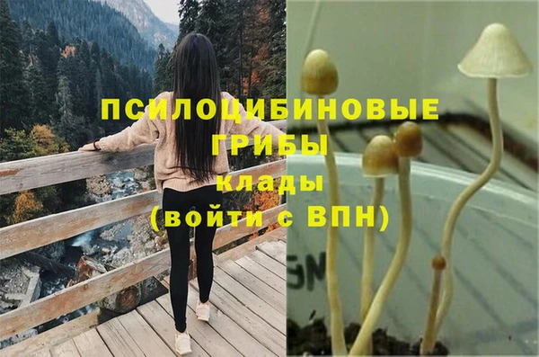 герыч Алзамай