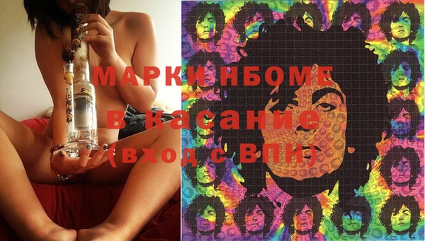 PSILOCYBIN Аркадак