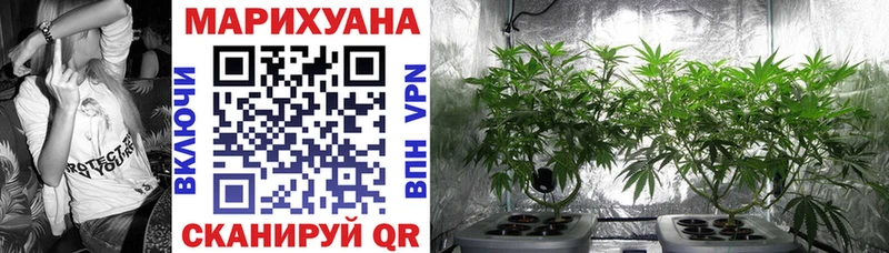 Купить закладки  Кстово  Марихуана AK-47 